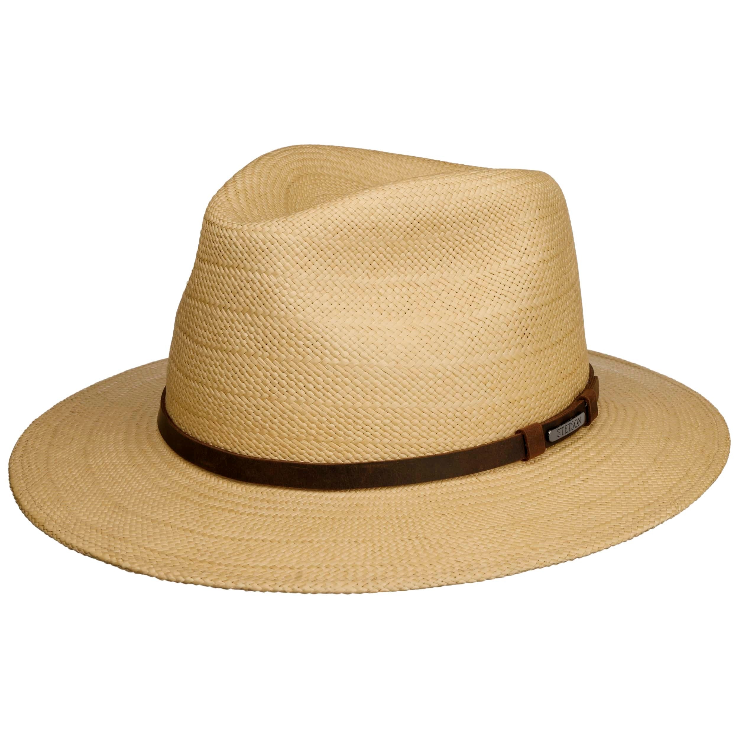 Traveller Panama